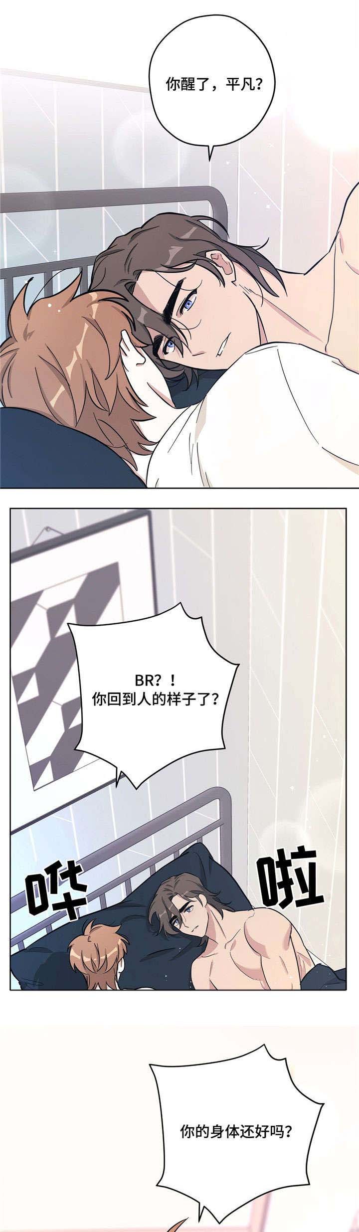 第28章：目的