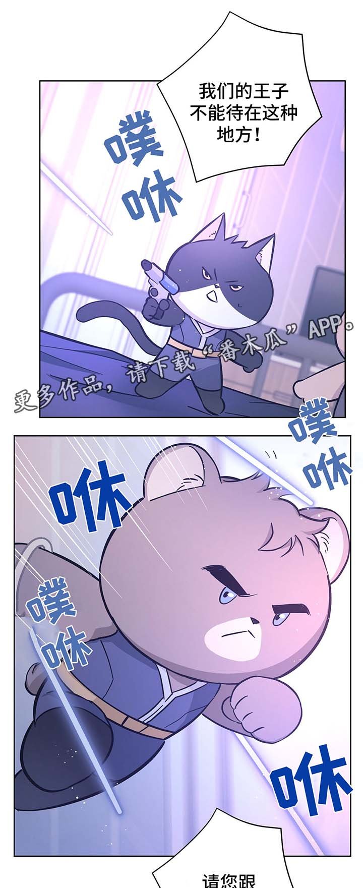 第31章：结婚