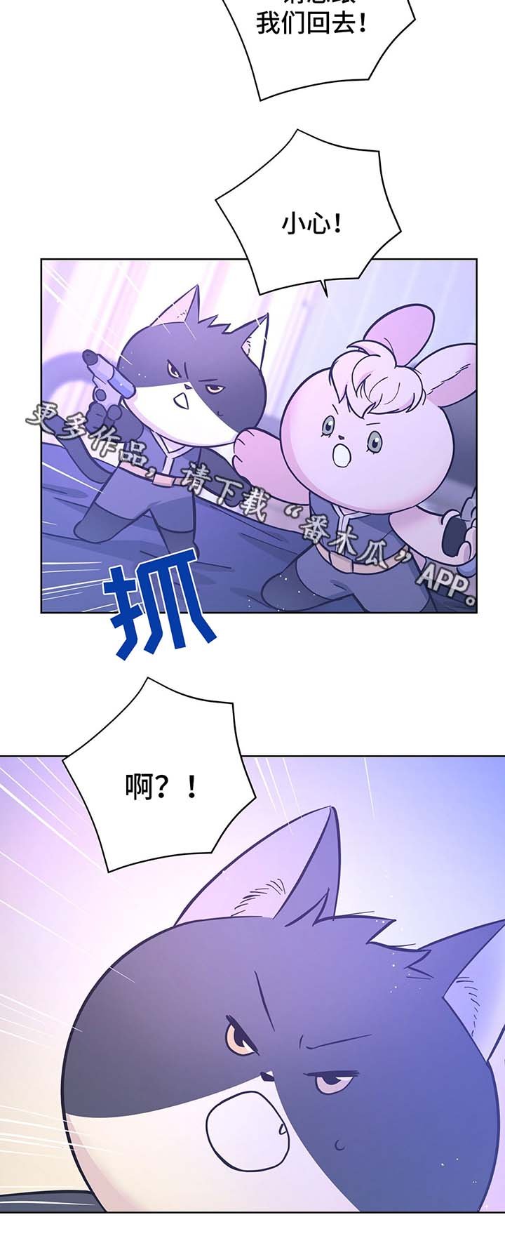 第31章：结婚