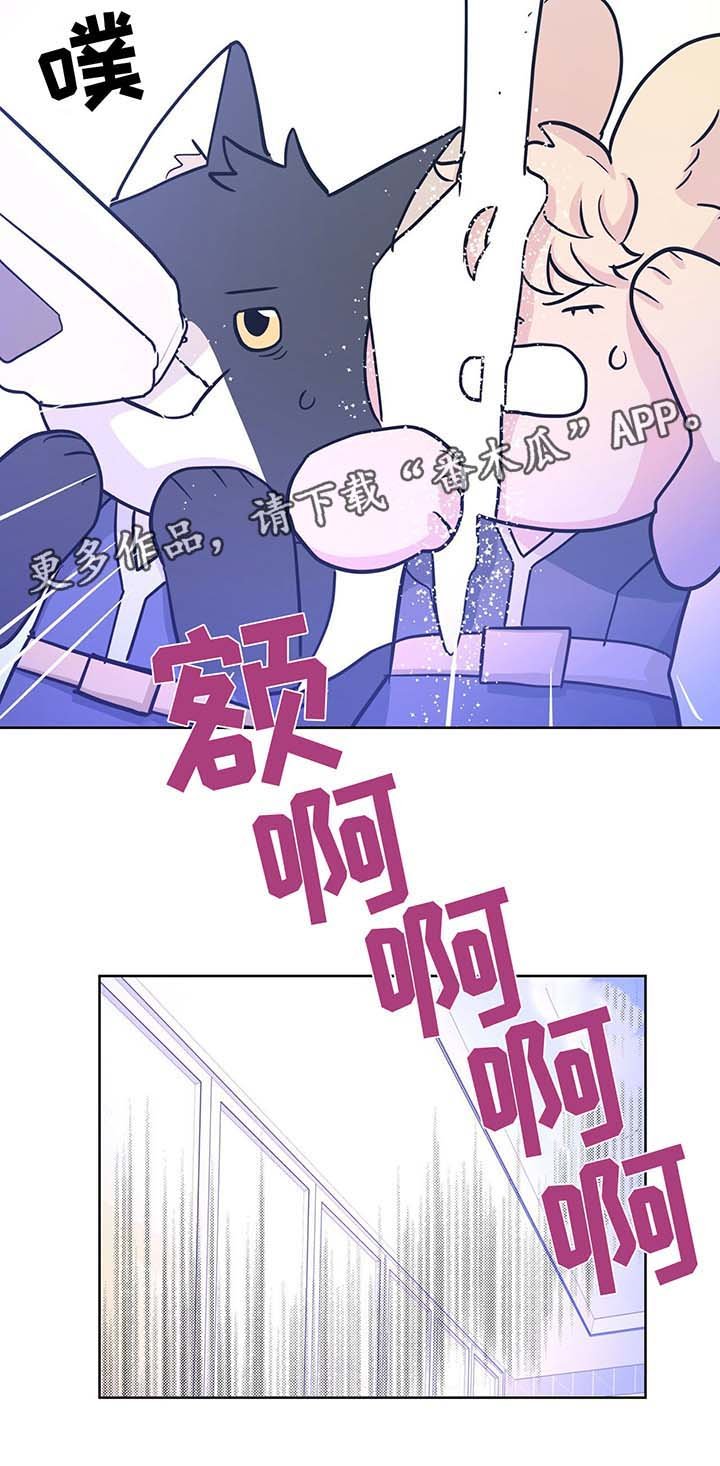 第32章：不想失去你
