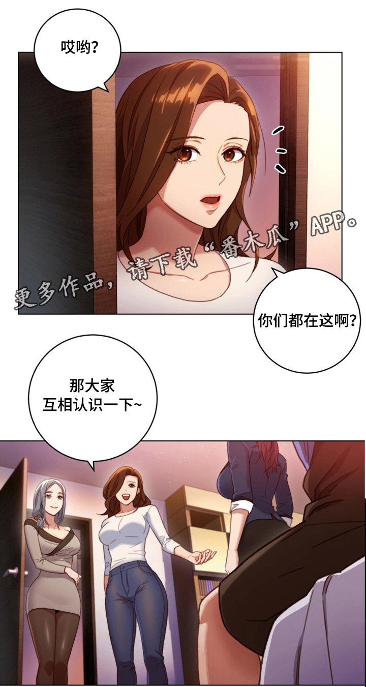 第4章：介绍