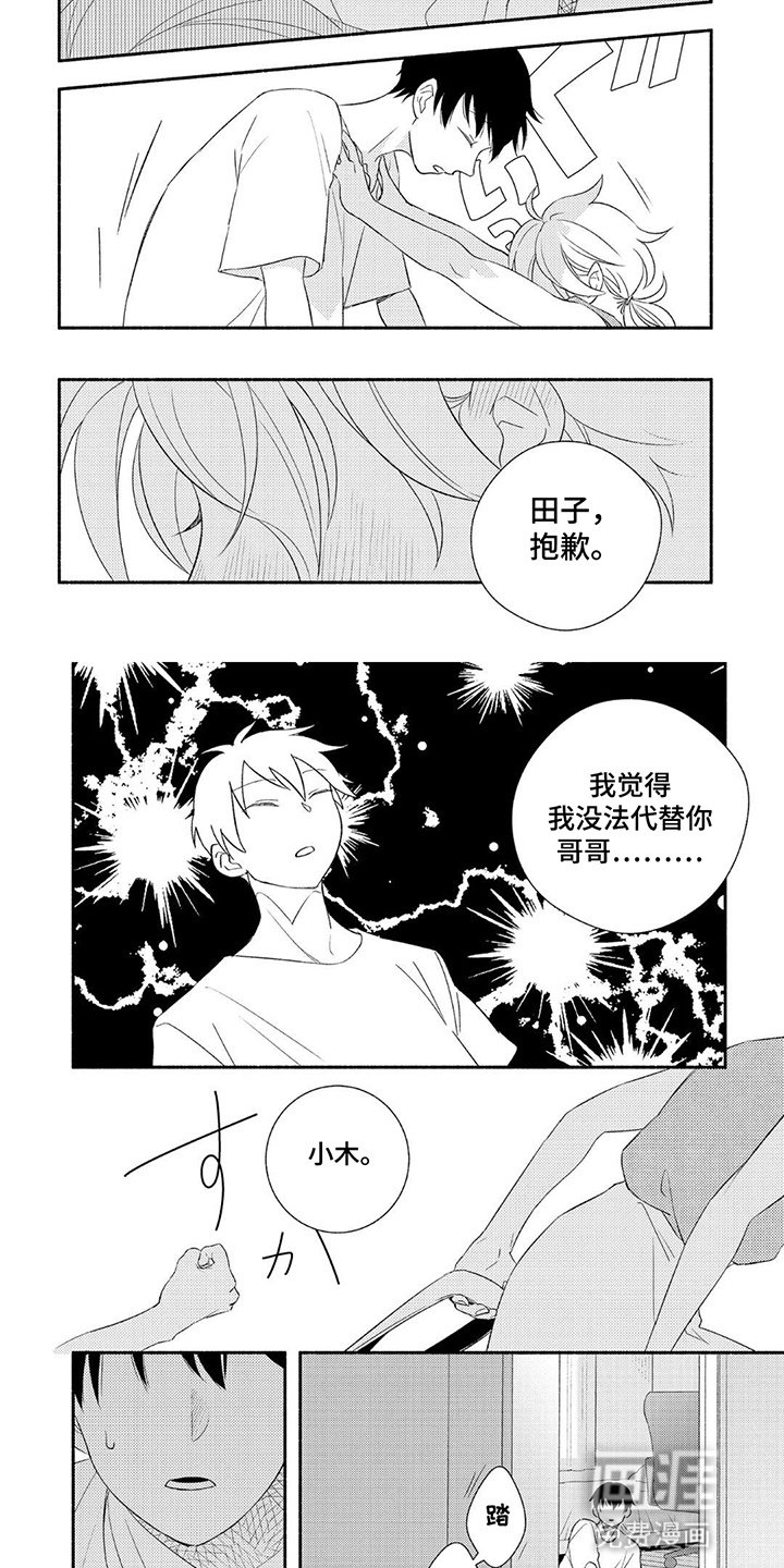 第4章：无法替代