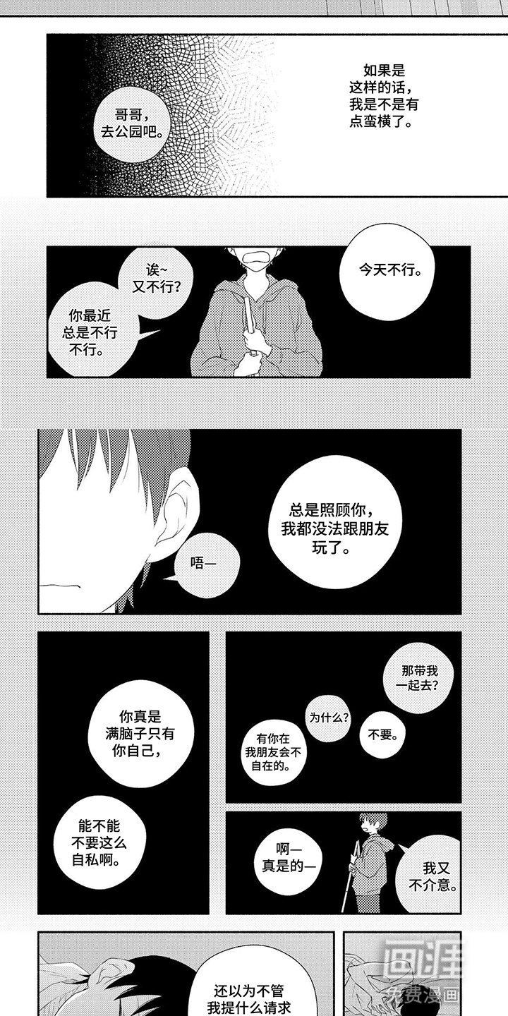 第4章：无法替代