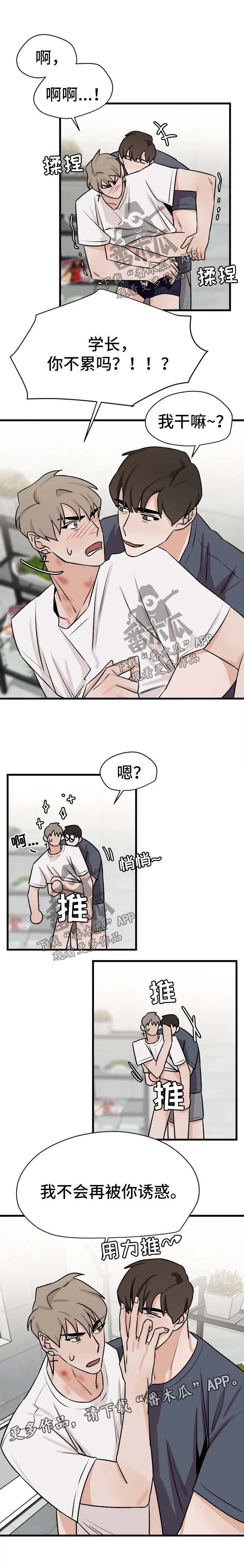 第29章：正式交往