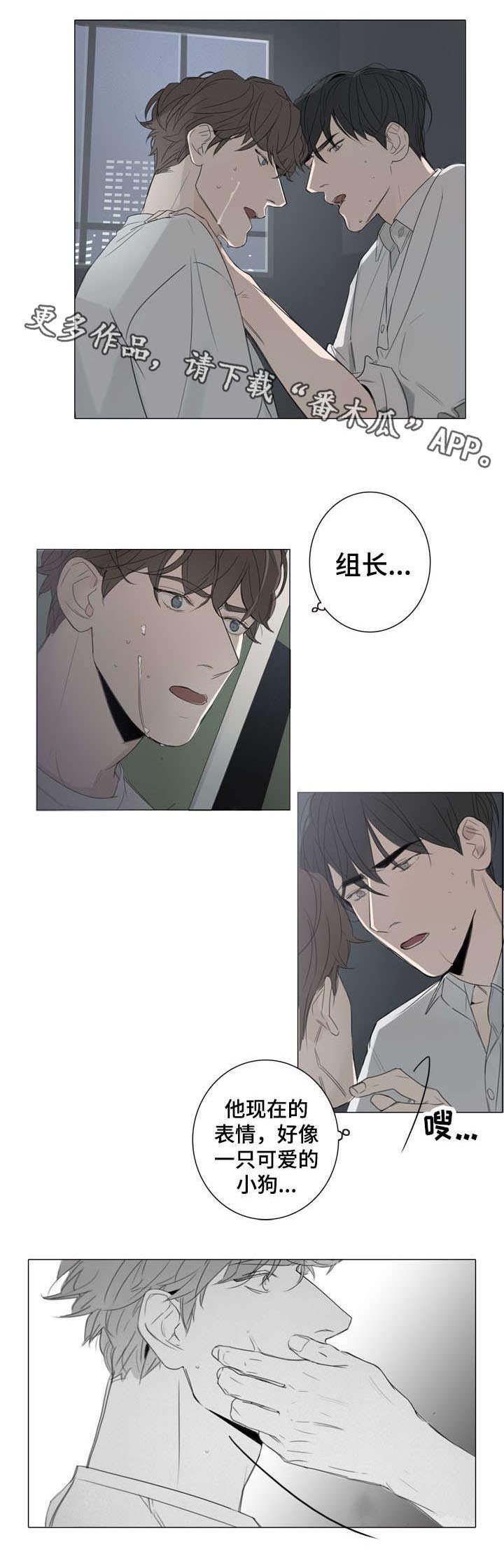 第21章：惊吓