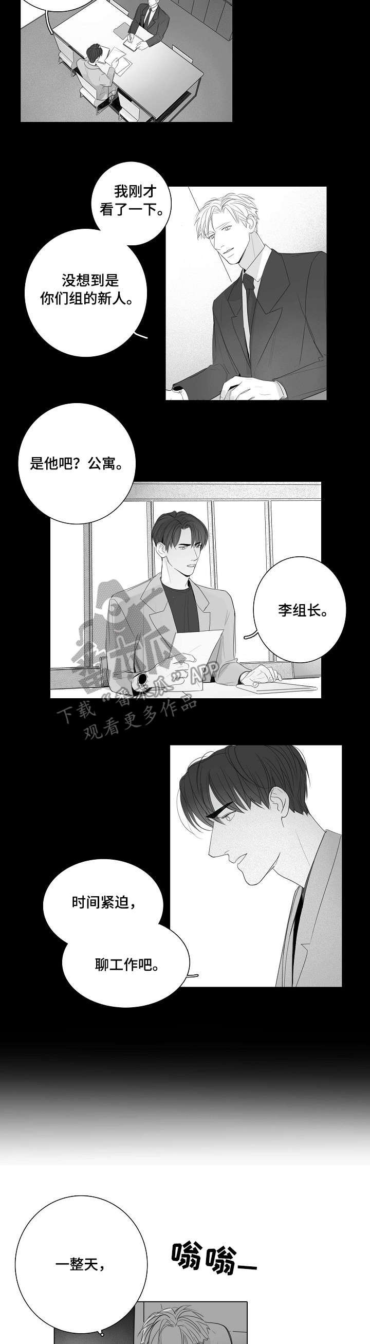 第41章：新人