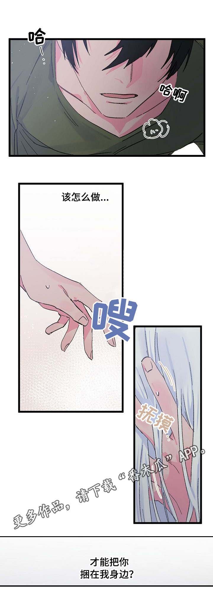 第14章：期待