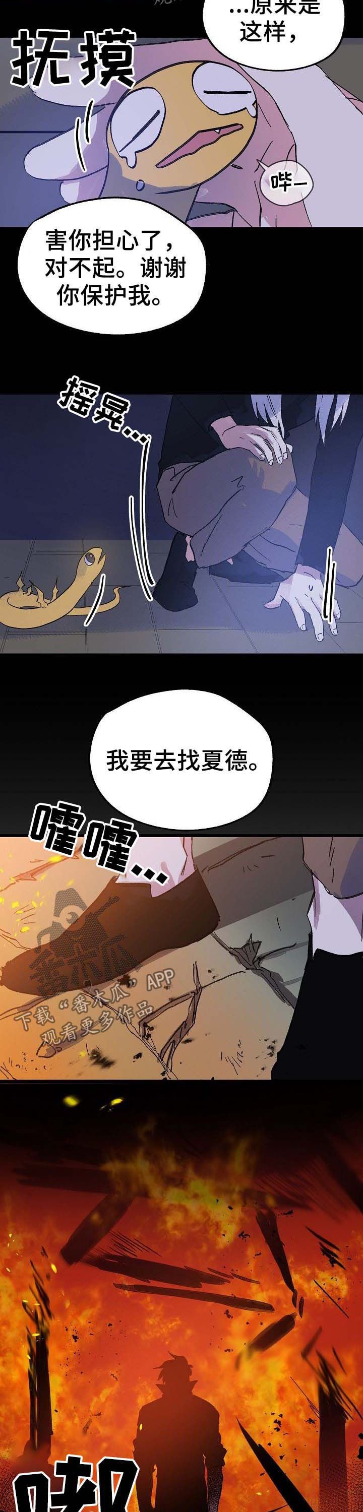 第40章：诅咒