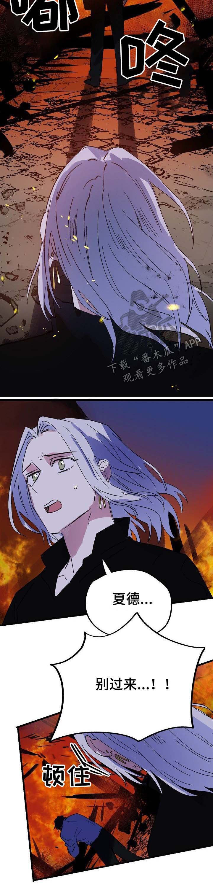 第40章：诅咒
