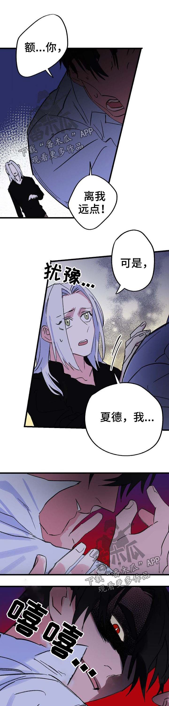 第40章：诅咒