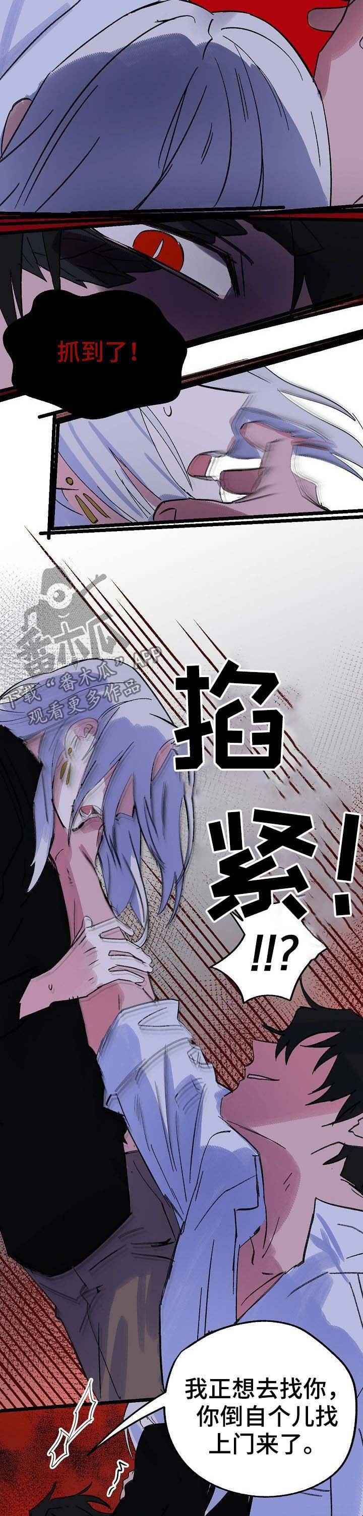 第40章：诅咒