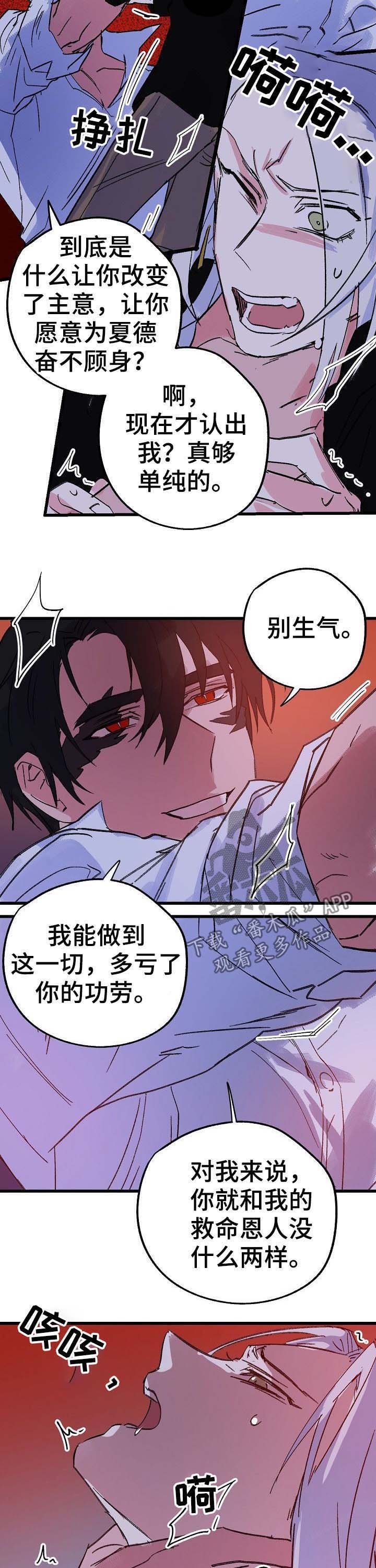 第40章：诅咒