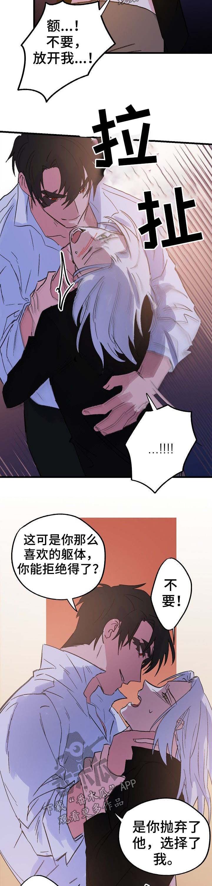 第41章：又会怎样
