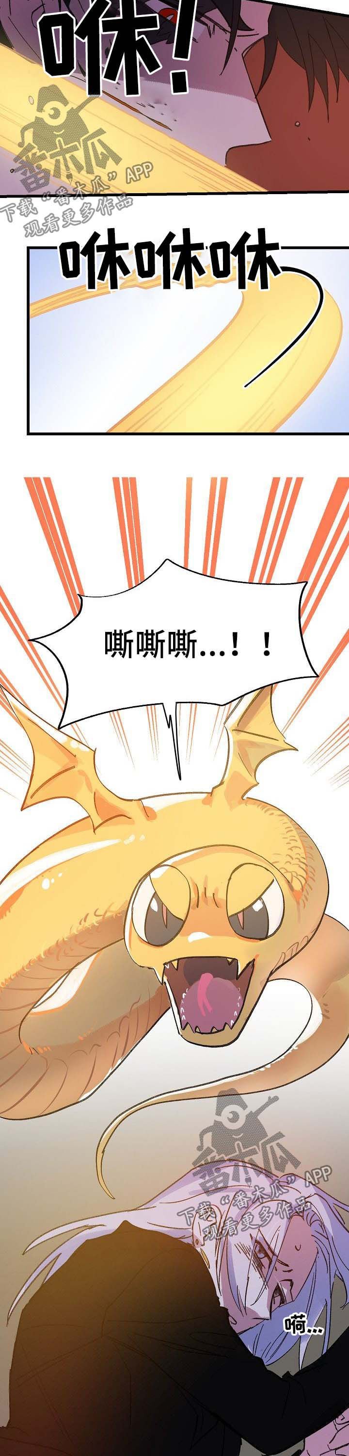 第41章：又会怎样