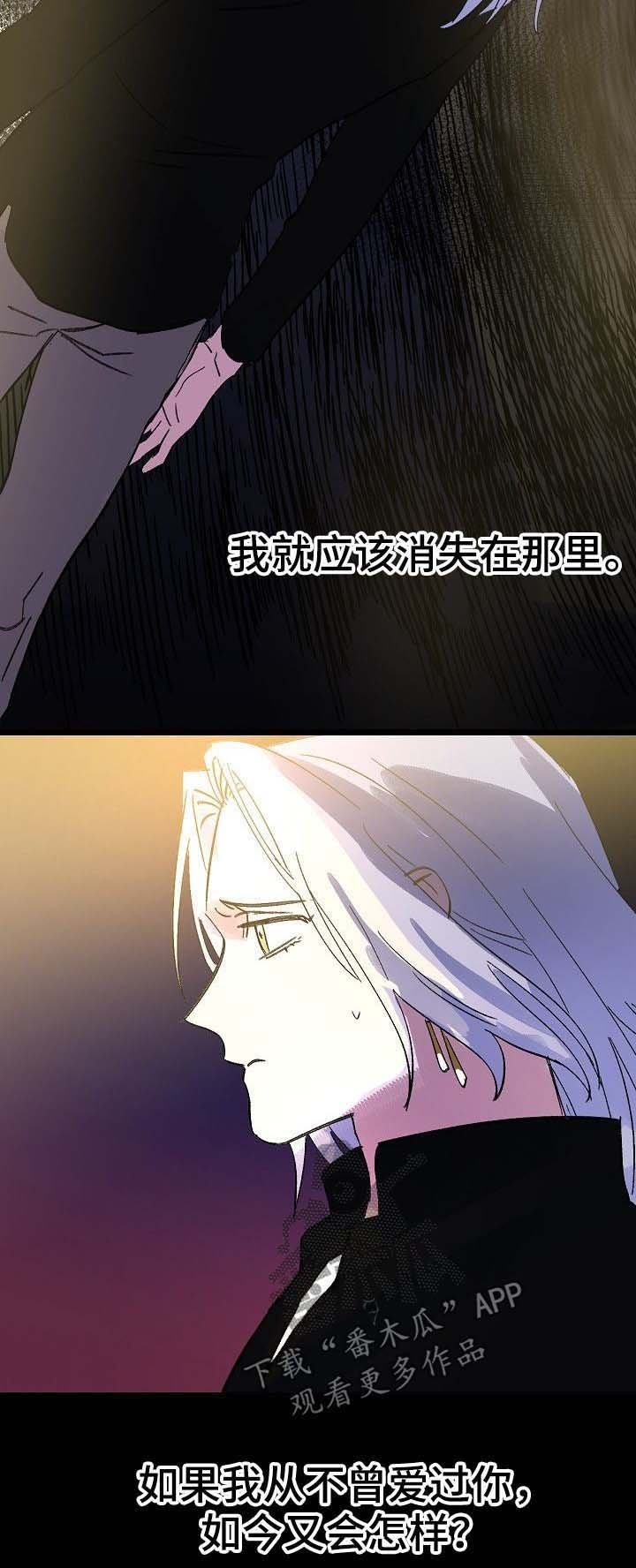 第41章：又会怎样