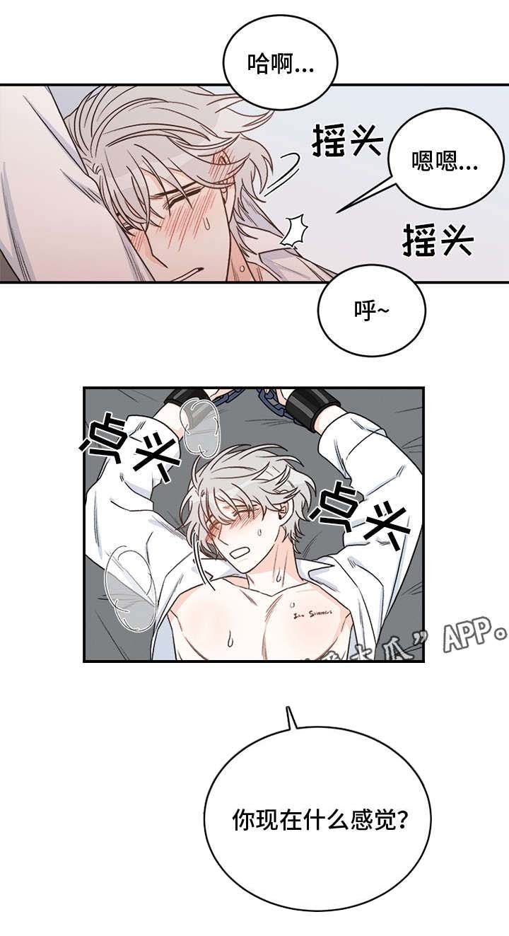 第11章：月石