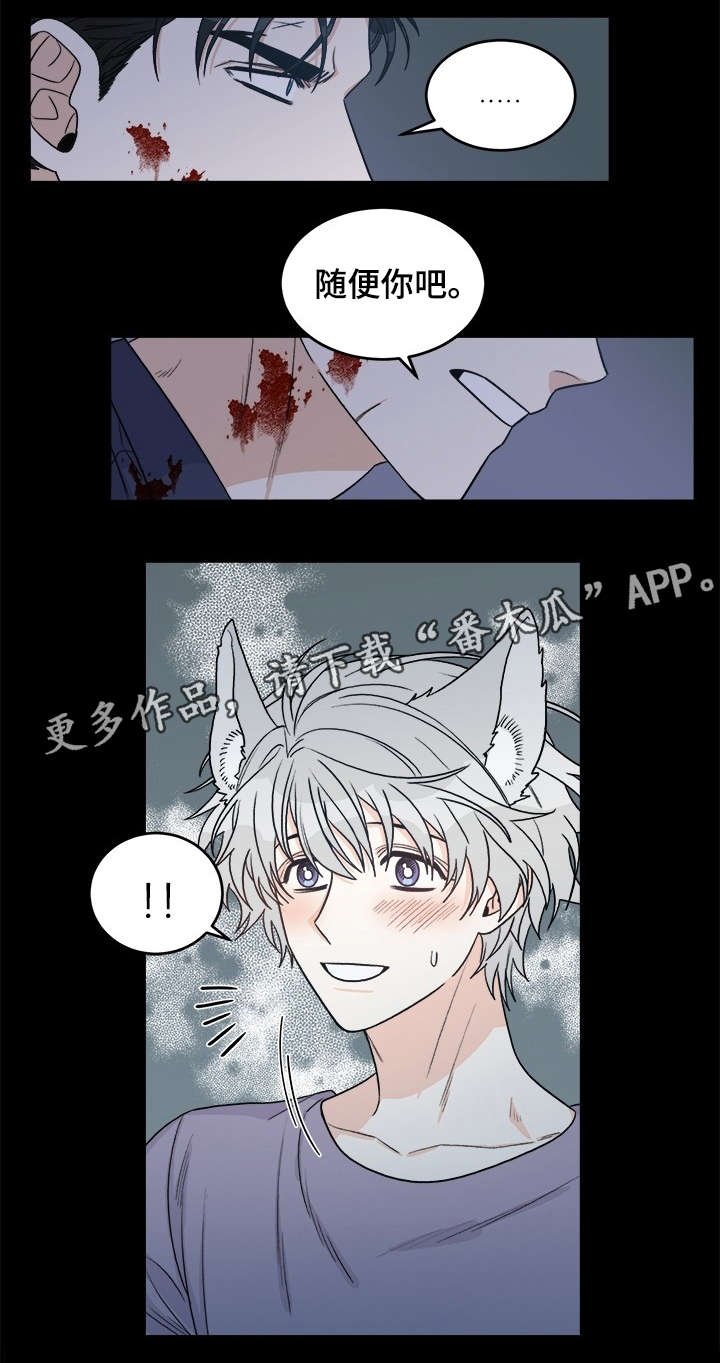 第13章：龙血