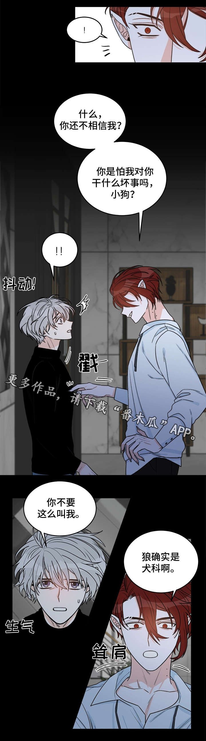 第17章：特备嘉宾