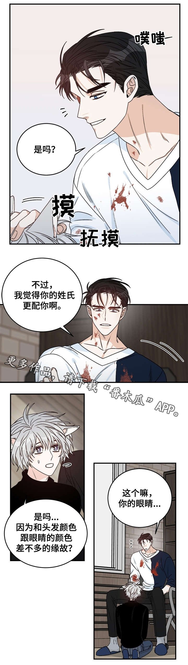 第29章：丁香