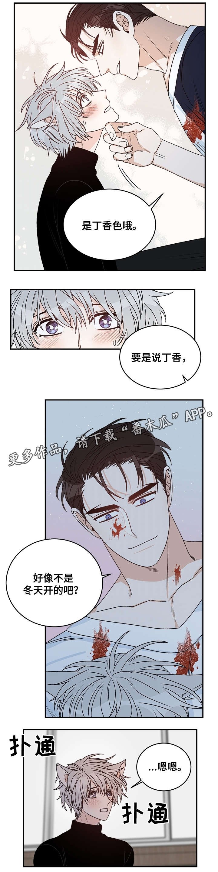 第29章：丁香