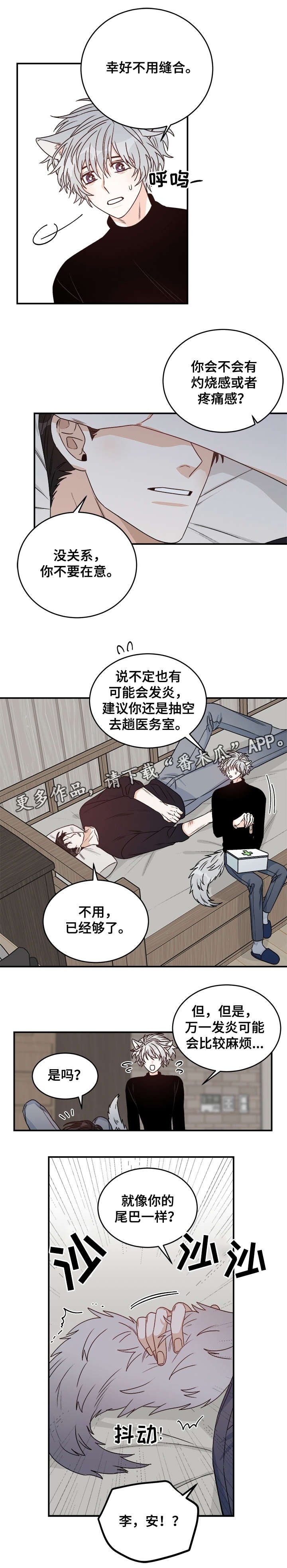 第29章：丁香