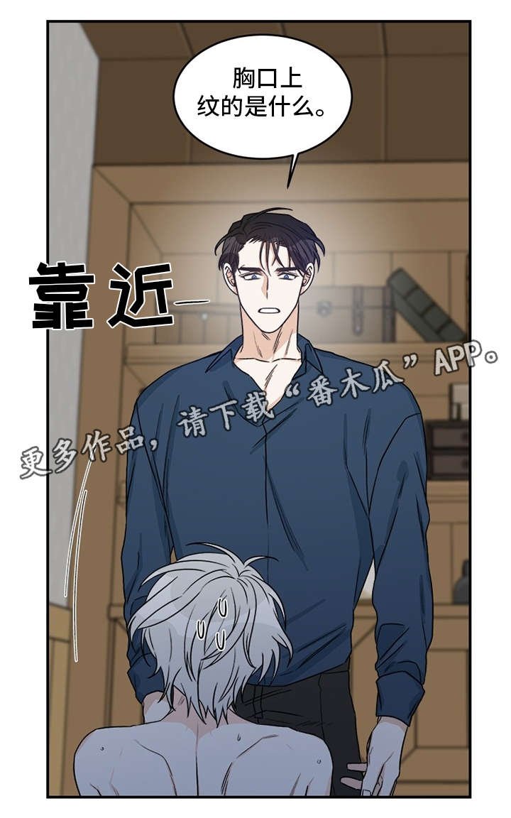 第3章：龙