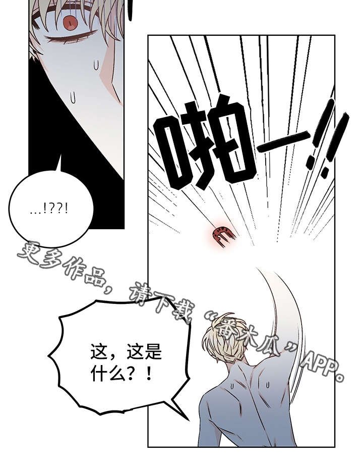 第40章：吸血