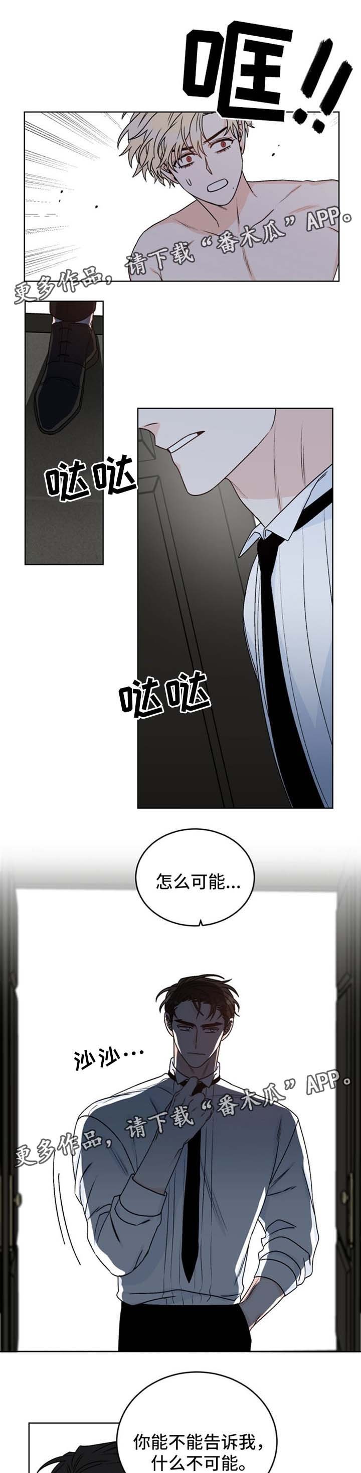 第41章：及时赶到