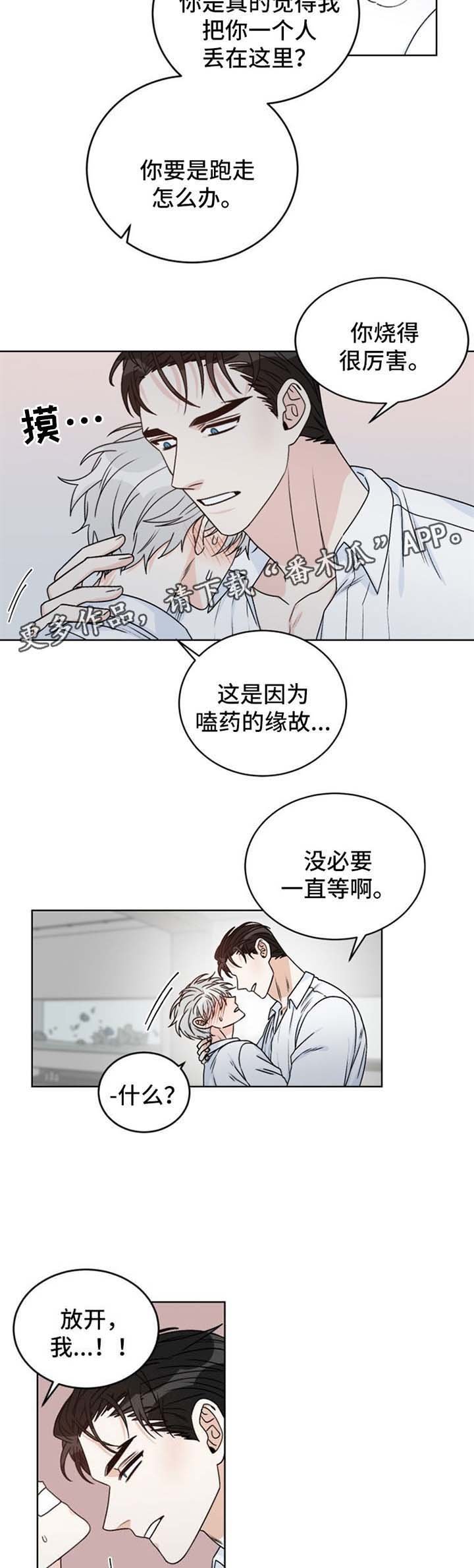 第42章：算计