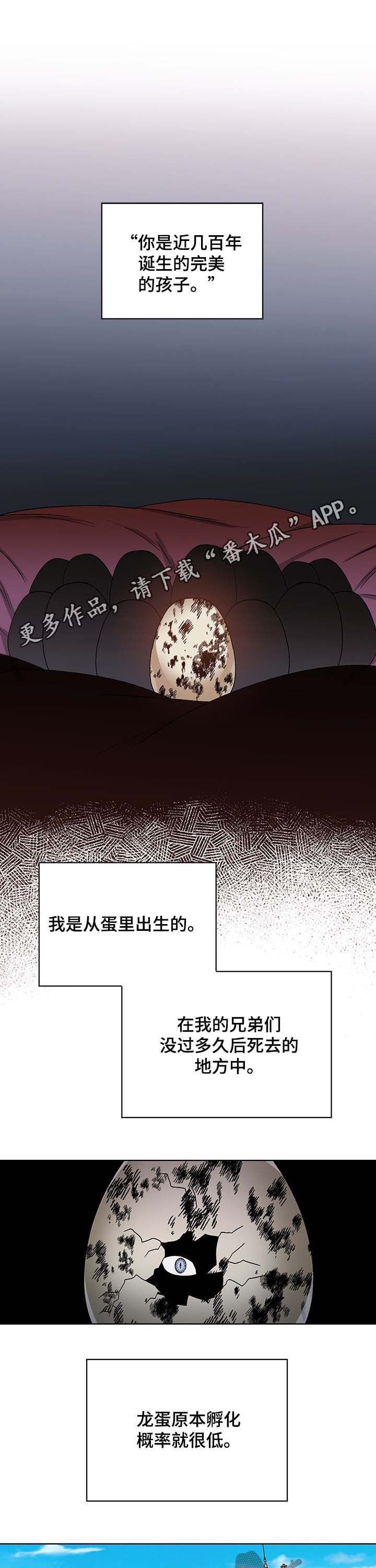 第53章：没有意义的家庭