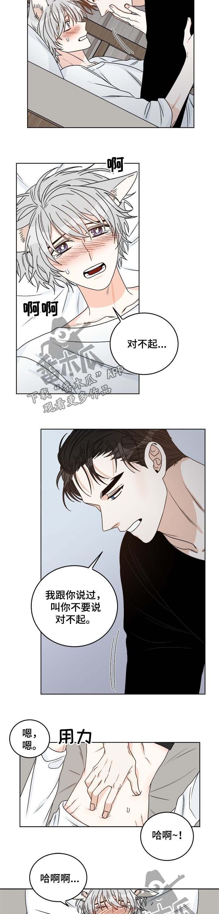 第55章：你为何会哭