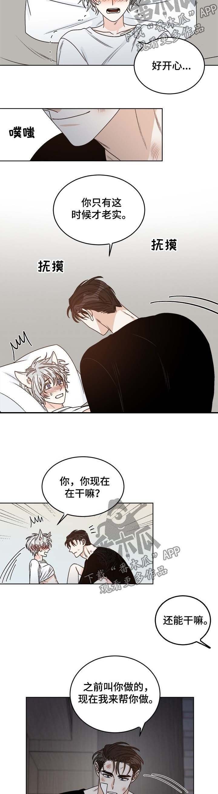 第55章：你为何会哭