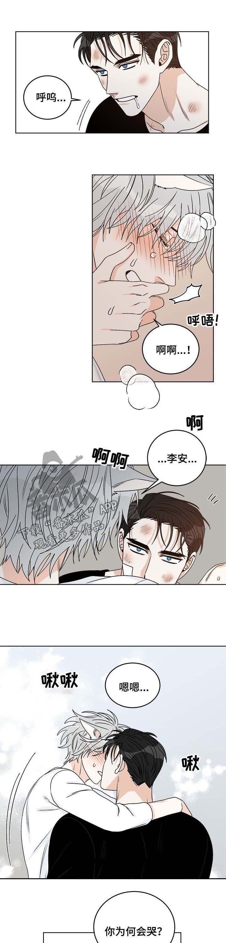 第55章：你为何会哭