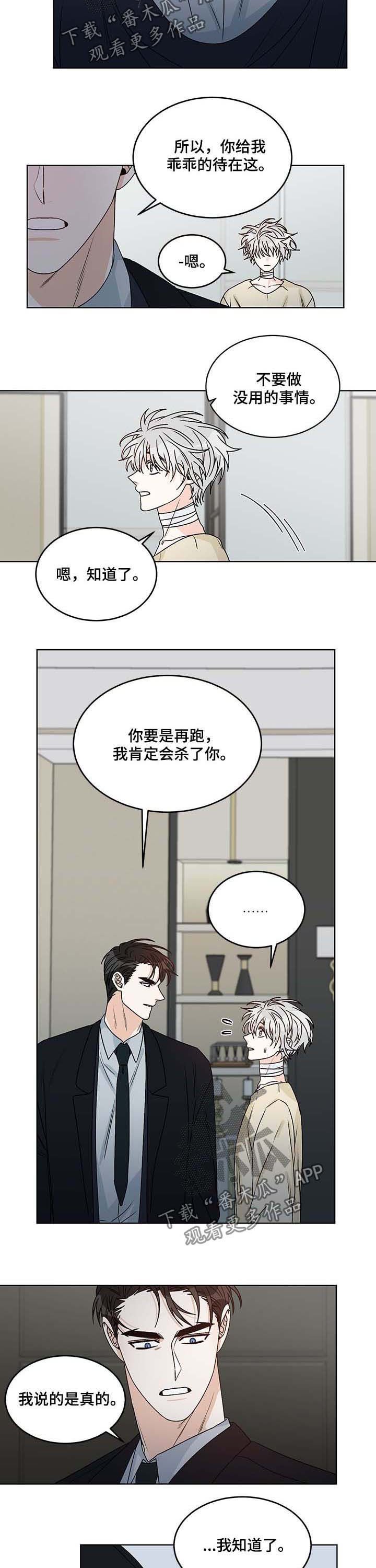 第62章：合力