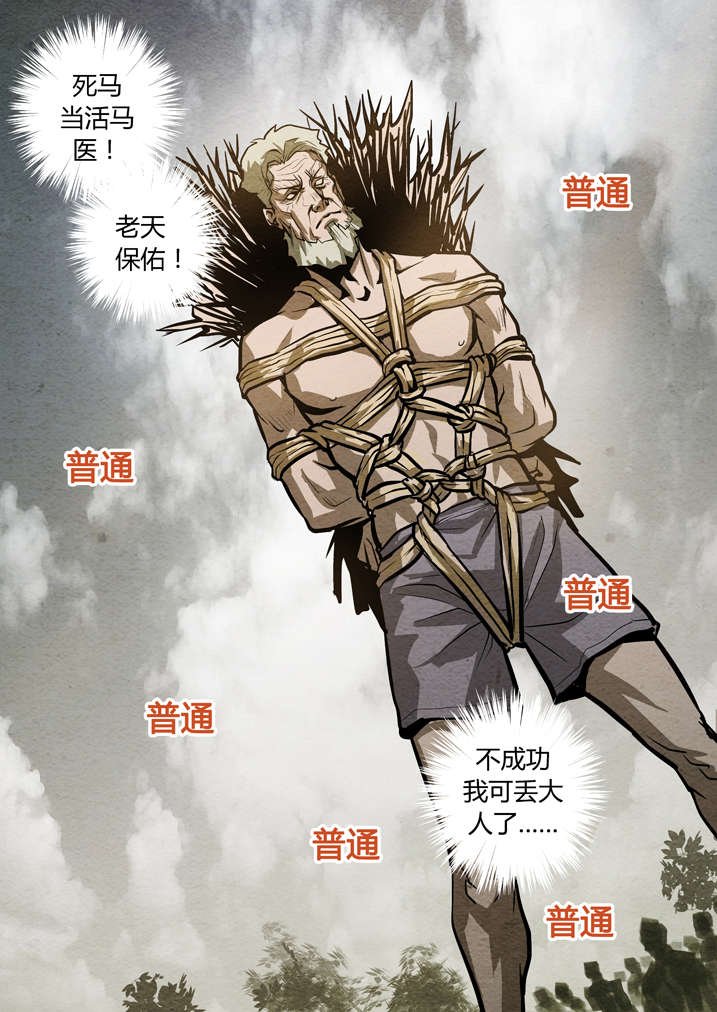第13章：不成功便丢人