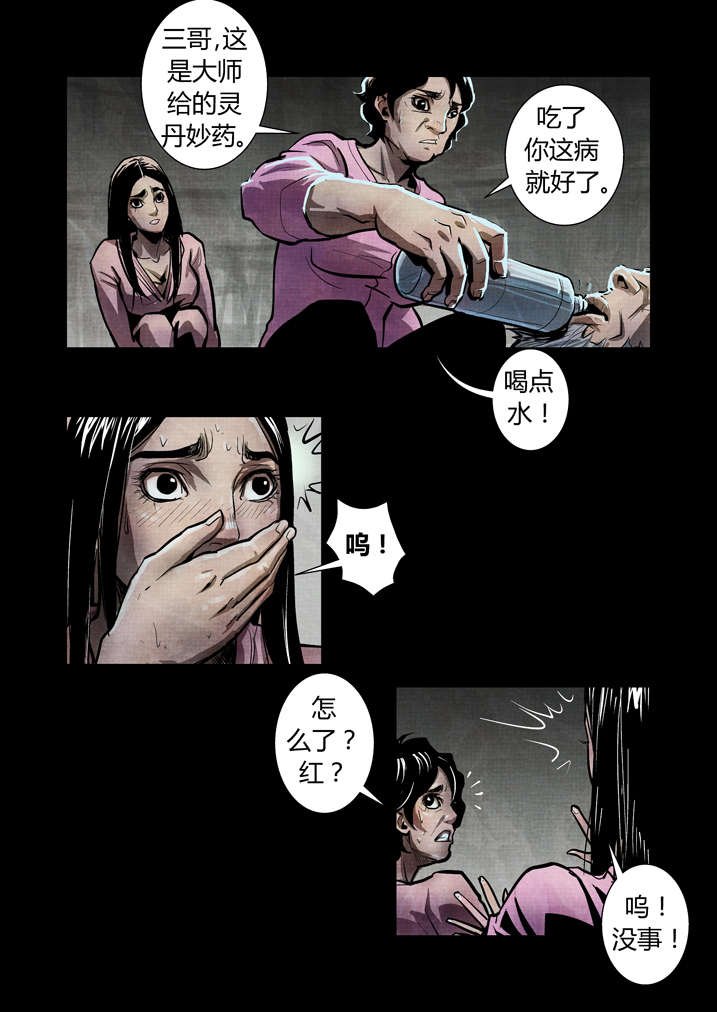 第15章：这药丸给你