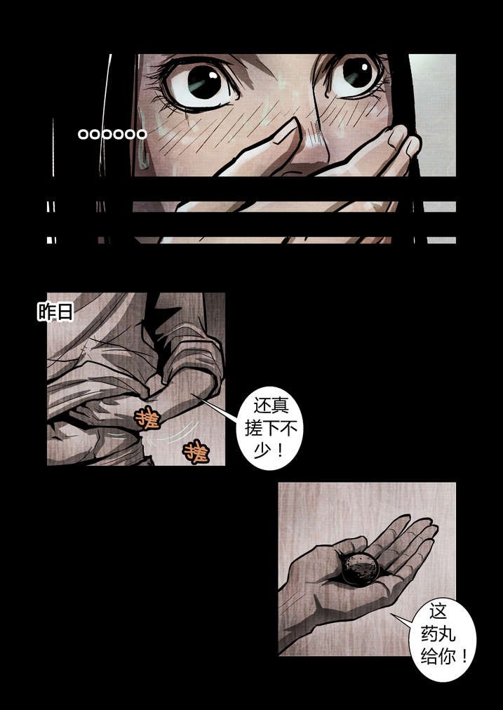 第15章：这药丸给你