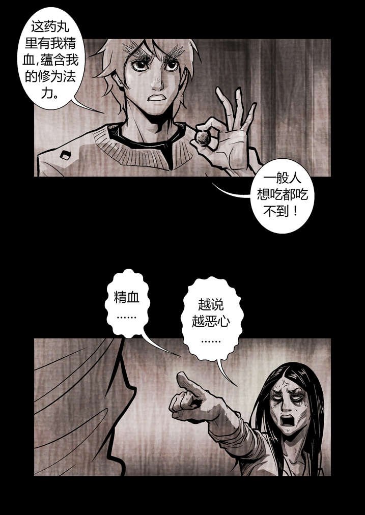 第16章：替身符