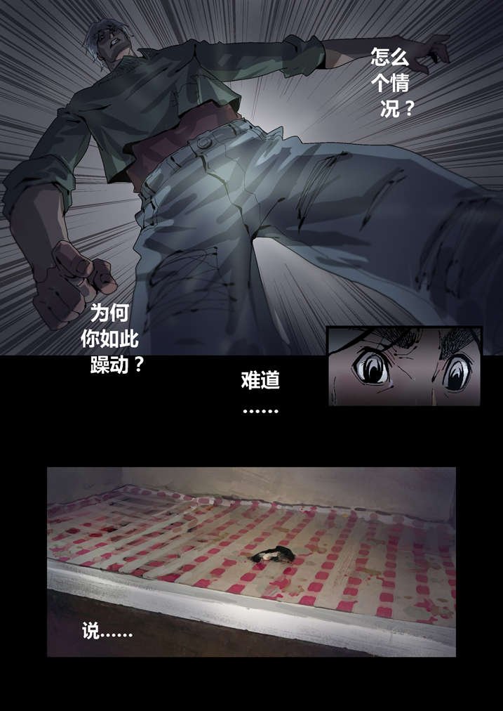 第39章：尸油