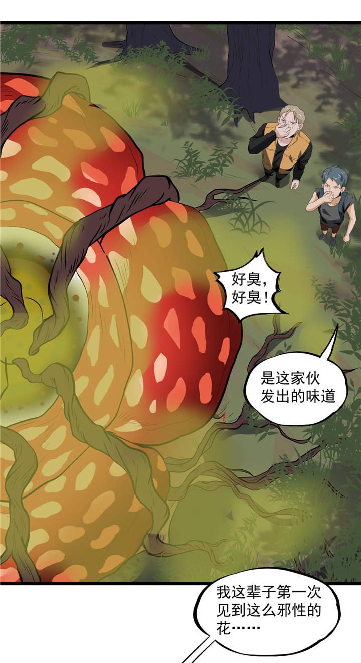 第39章：蓝色蜗牛