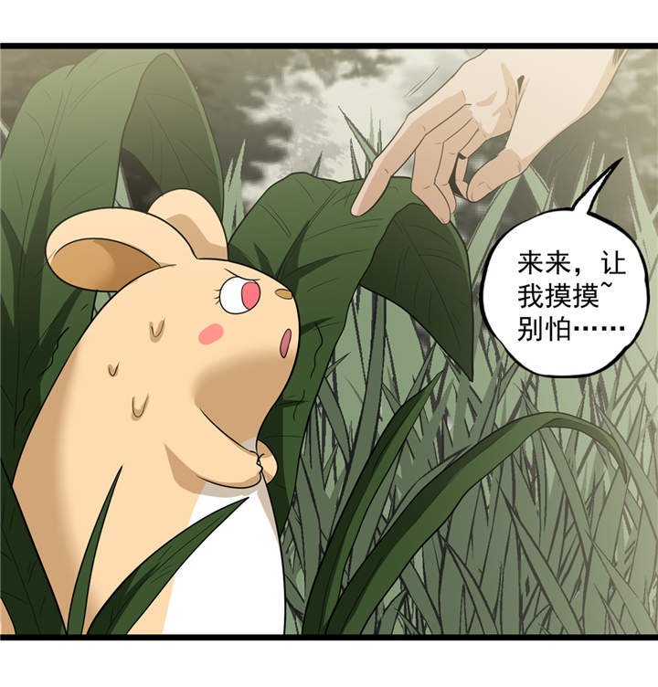 第40章：蠕鼠