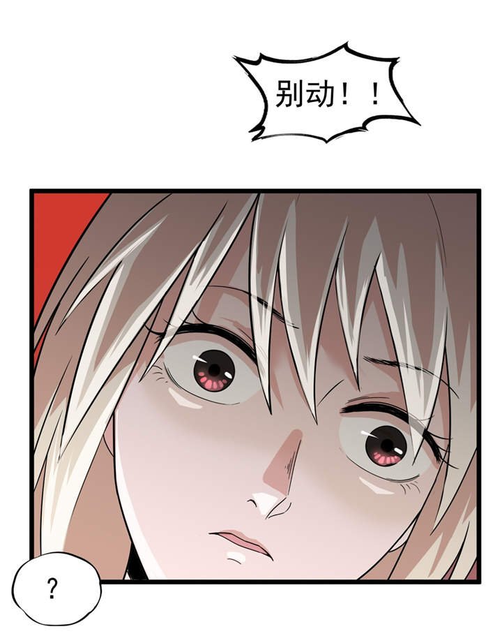 第48章：天烙蠕虫