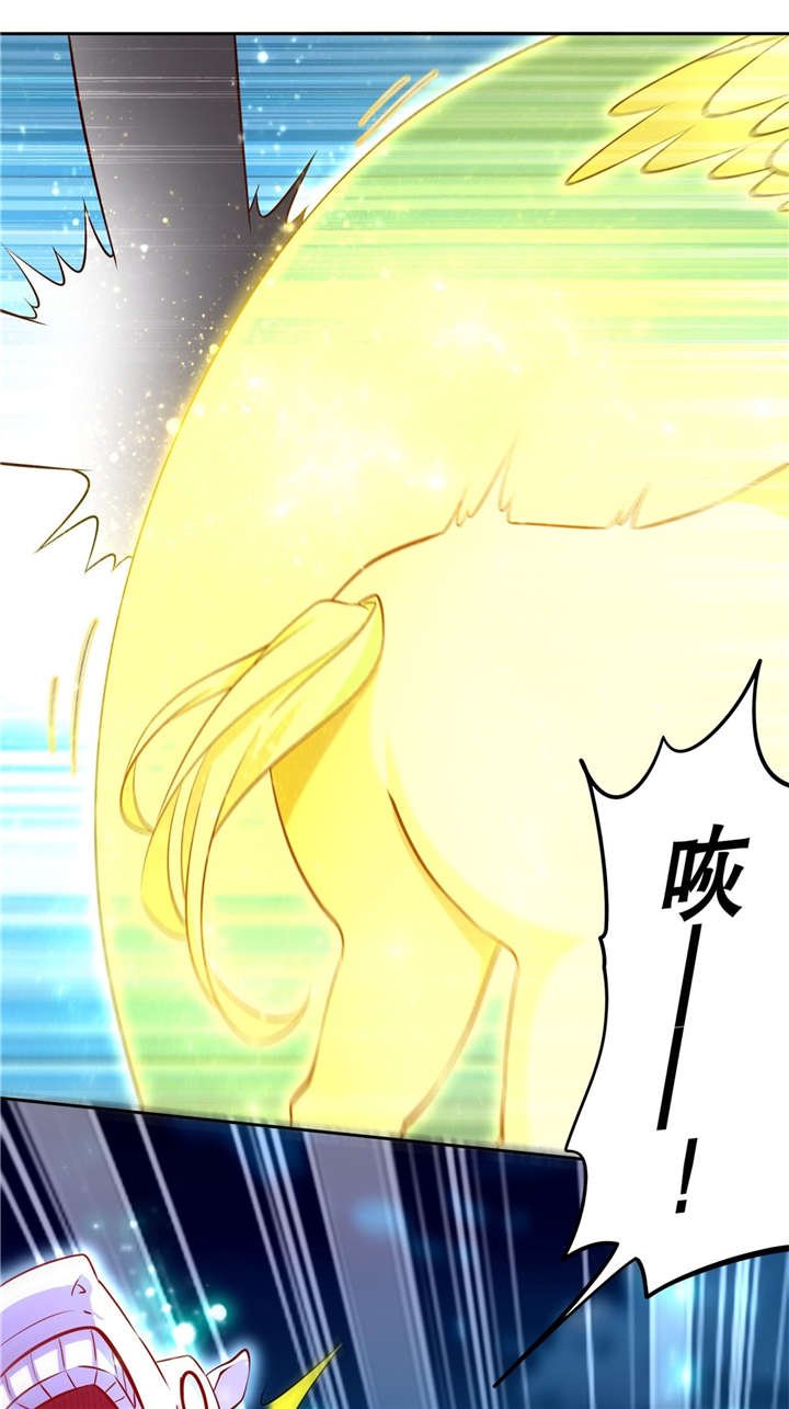 第60章：波斯大盗