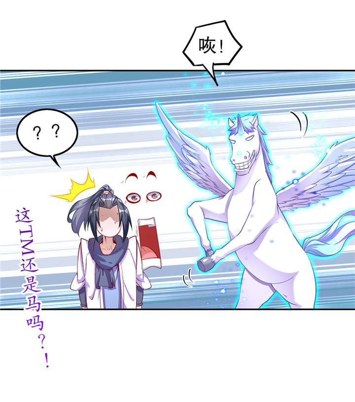 第63章：天马认主