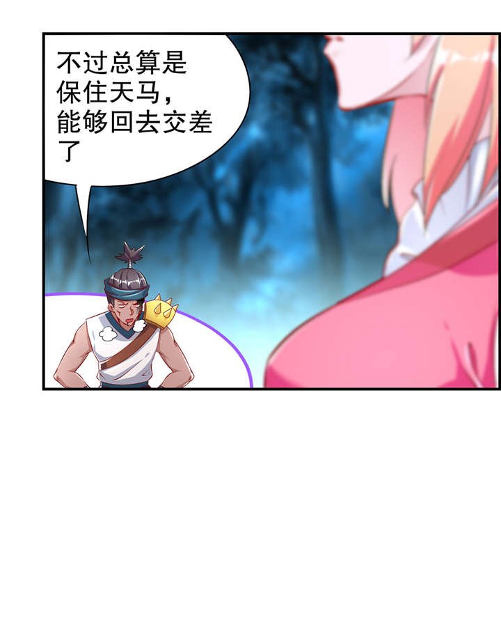 第63章：天马认主