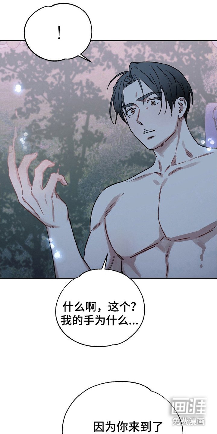 第11章：寻找答案