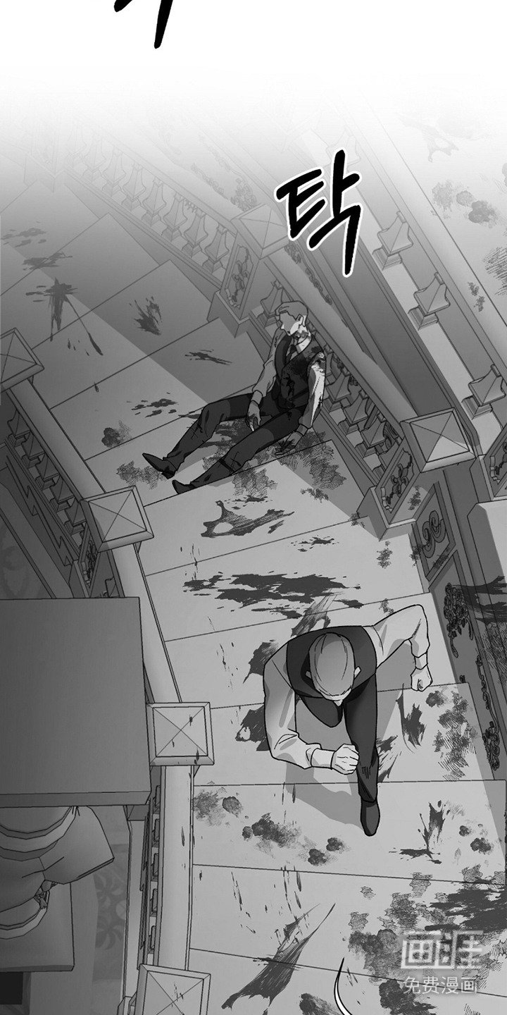 第11章：寻找答案