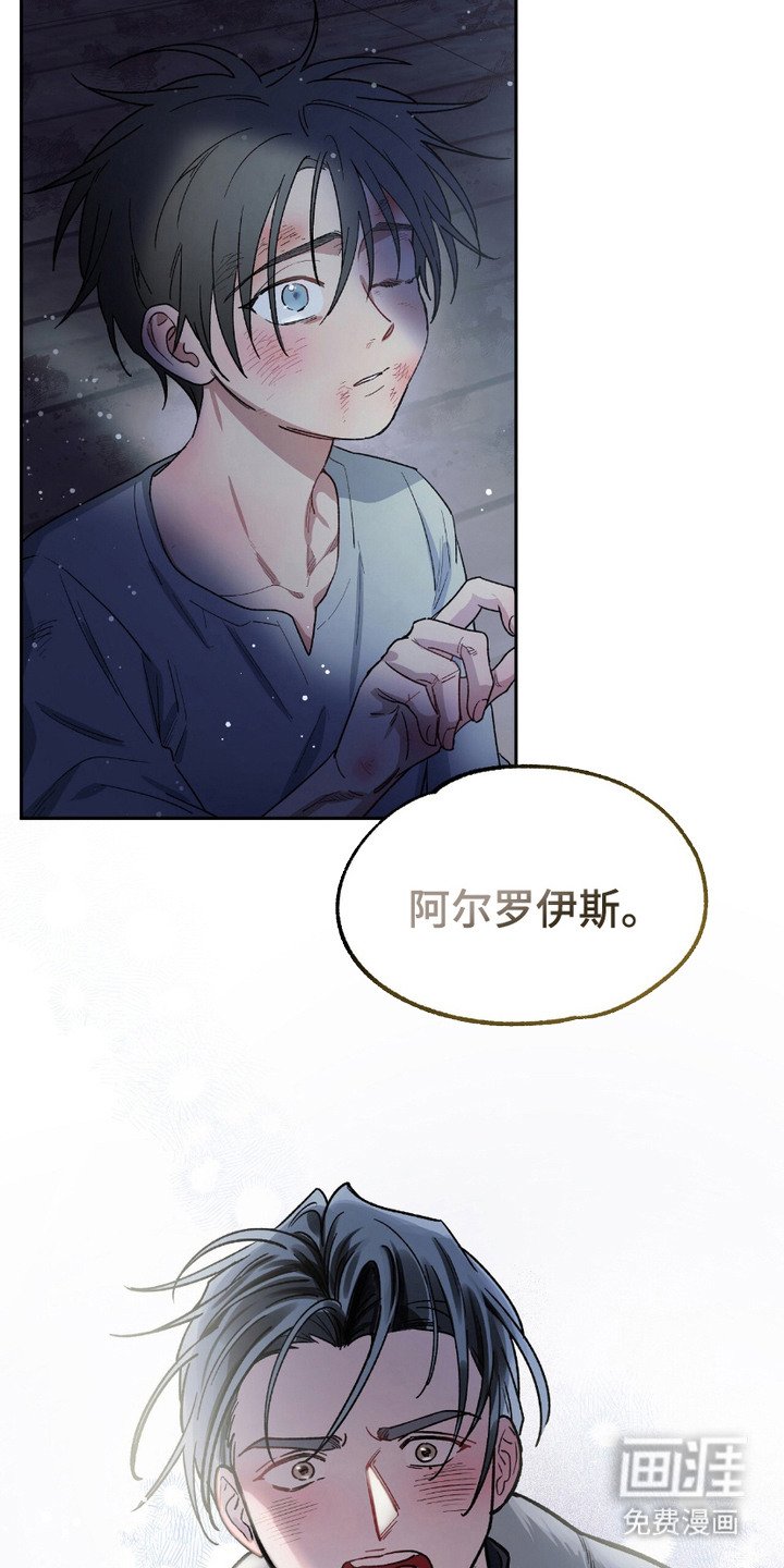 第11章：寻找答案