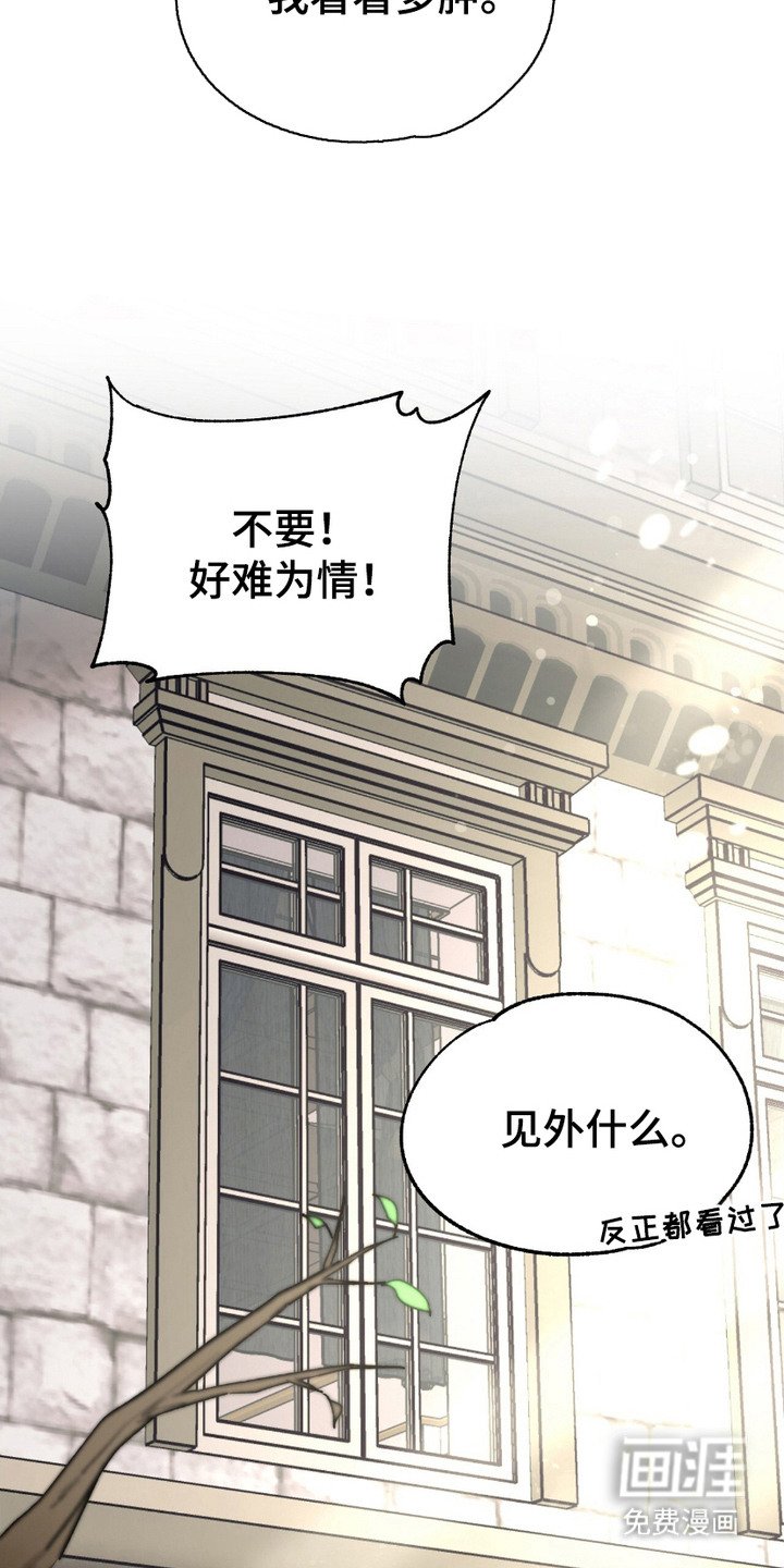 第13章：幸福的微笑（完结）