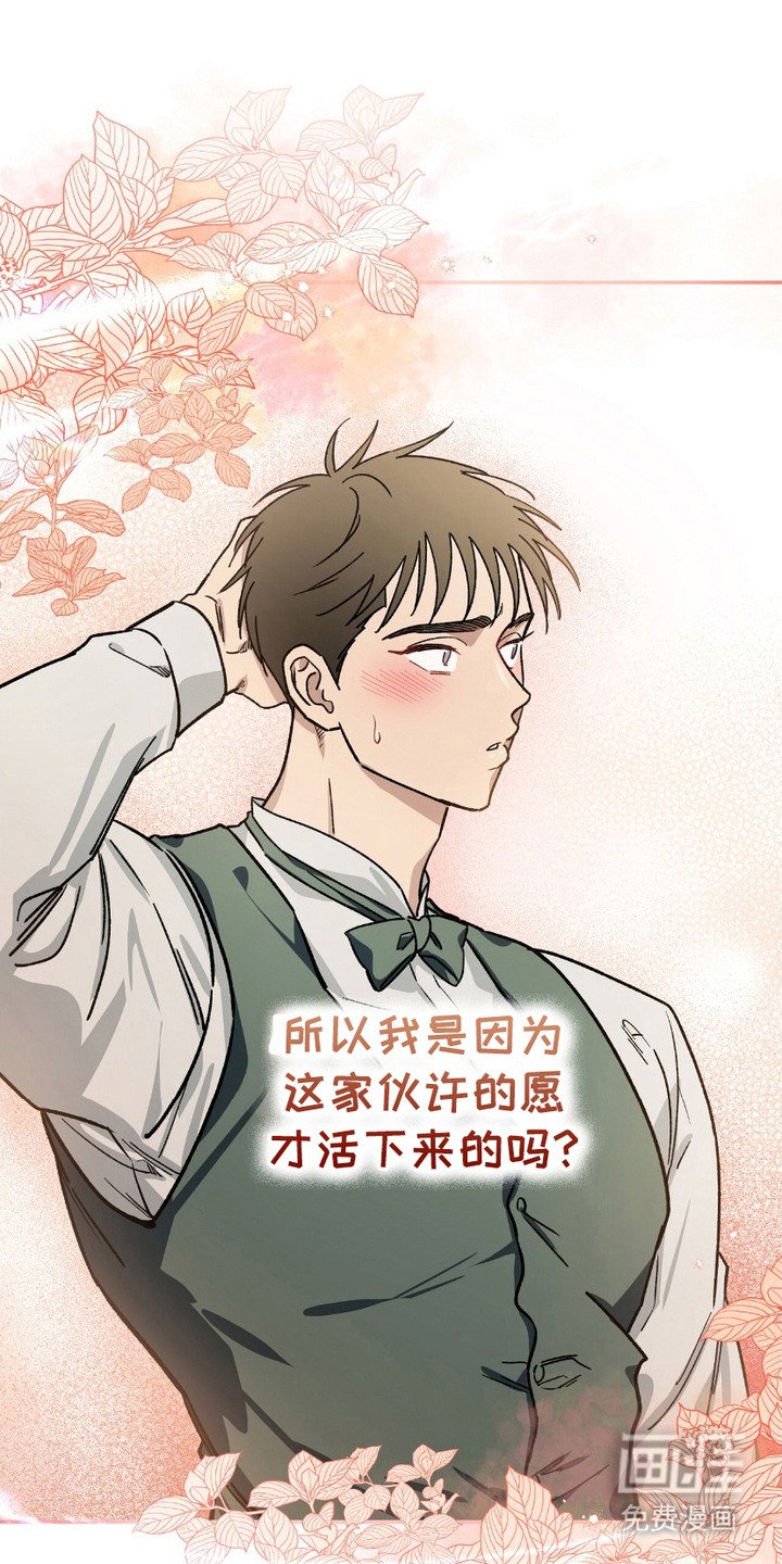 第7章：失败之作